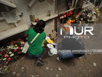 People decorate the graves of their loved ones with cempasuchil flowers at the Municipal Cemetery of San Juan del Rio. Mexicans visit the ce...