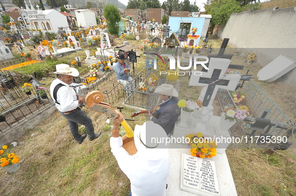 People decorate the graves of their loved ones with cempasuchil flowers at the Municipal Cemetery of San Juan del Rio. Mexicans visit the ce...