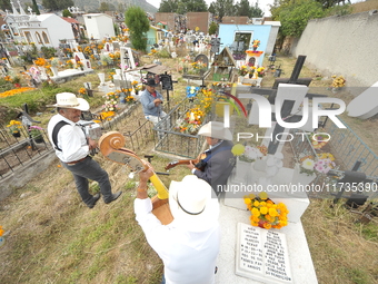 People decorate the graves of their loved ones with cempasuchil flowers at the Municipal Cemetery of San Juan del Rio. Mexicans visit the ce...