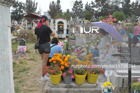 People decorate the graves of their loved ones with cempasuchil flowers at the Municipal Cemetery of San Juan del Rio. Mexicans visit the ce...