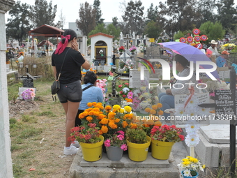 People decorate the graves of their loved ones with cempasuchil flowers at the Municipal Cemetery of San Juan del Rio. Mexicans visit the ce...