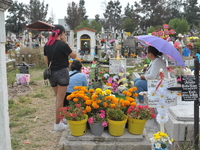 People decorate the graves of their loved ones with cempasuchil flowers at the Municipal Cemetery of San Juan del Rio. Mexicans visit the ce...