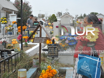 A person decorates the grave of her loved ones with cempasuchil flowers at the Municipal Cemetery of San Juan del Rio. Mexicans visit the ce...