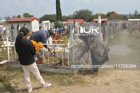 People decorate the graves of their loved ones with cempasuchil flowers at the Municipal Cemetery of San Juan del Rio. Mexicans visit the ce...