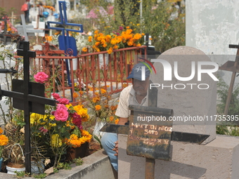 A person decorates the grave of their loved ones with cempasuchil flowers at the Municipal Cemetery of San Juan del Rio. Mexicans visit the...