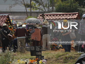 People decorate the graves of their loved ones with cempasuchil flowers at the Municipal Cemetery of San Juan del Rio. Mexicans visit the ce...