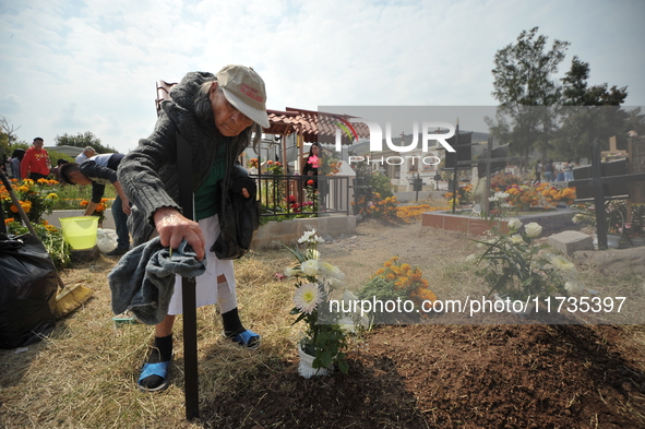 A person decorates the grave of her loved ones with cempasuchil flowers at the Municipal Cemetery of San Juan del Rio. Mexicans visit the ce...