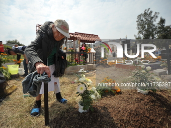 A person decorates the grave of her loved ones with cempasuchil flowers at the Municipal Cemetery of San Juan del Rio. Mexicans visit the ce...