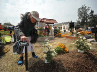 A person decorates the grave of her loved ones with cempasuchil flowers at the Municipal Cemetery of San Juan del Rio. Mexicans visit the ce...