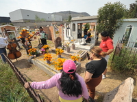 People decorate the graves of their loved ones with cempasuchil flowers at the Municipal Cemetery of San Juan del Rio. Mexicans visit the ce...