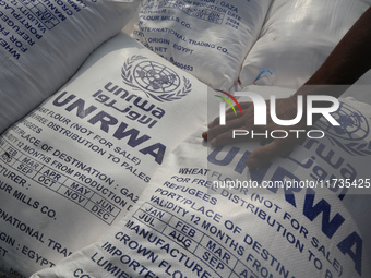 People receive bags of flour distributed by a United Nations aid organization in Deir Al-Balah, in the central Gaza Strip, on November 3, 20...