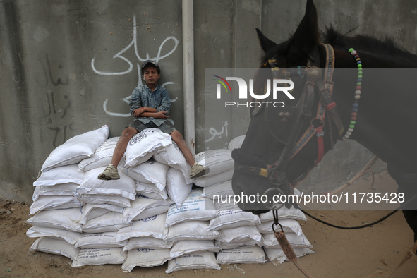 A Palestinian boy sits on top of sacks of flour at a United Nations Relief and Works Agency (UNRWA) aid distribution center amid the Israel-...