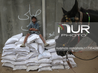 A Palestinian boy sits on top of sacks of flour at a United Nations Relief and Works Agency (UNRWA) aid distribution center amid the Israel-...