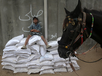 A Palestinian boy sits on top of sacks of flour at a United Nations Relief and Works Agency (UNRWA) aid distribution center amid the Israel-...