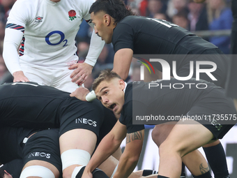 Cortez Ratima of New Zealand is in action during the Autumn Nations Series International Rugby match between England and New Zealand at Alli...