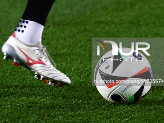 Adidas Fussballiebe official Ekstraklasa match ball is seen ahead of Puszcza Niepolomice - Lech Poznan match of the Ekstraklasa Polish Footb...