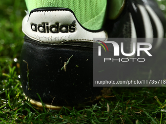 Adidas shoe during Puszcza Niepolomice - Lech Poznan match of the Ekstraklasa Polish Football League, at Cracovia Stadium in Krakow, Poland...