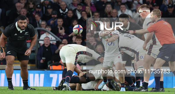 England's Harry Randall (Bristol Bears) is in action during the Autumn Nations Series International Rugby match between England and New Zeal...