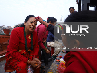 A Nepali Hindu receives a multi-colored tika on the forehead, marking the day of Bhaitika, the concluding day of Tihar, the five-day festiva...