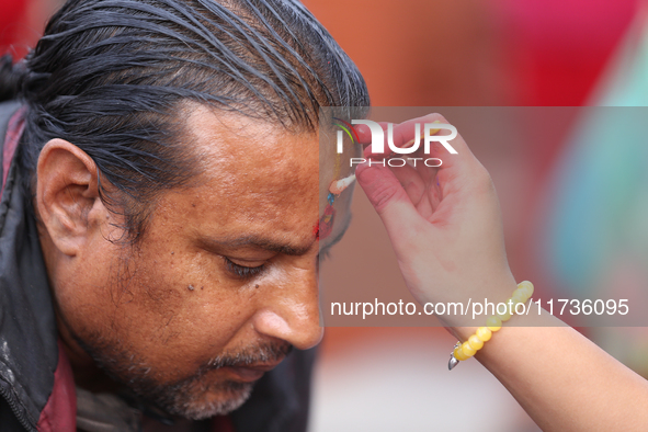 A Nepali Hindu receives a multi-colored tika on the forehead, marking the day of Bhaitika, the concluding day of Tihar, the five-day festiva...