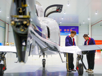 Workers assemble an aircraft at Qingdao Wanfeng Diamond Aircraft Manufacturing Co LTD in Laixi, China, on November 3, 2024. (