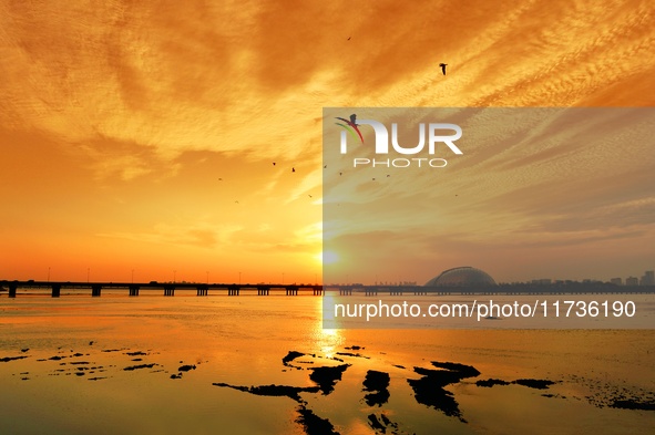 A photo taken on November 3, 2024, shows the sunset glow and returning birds at the Baisha River Estuary wetland in Liuting Street, Chengyan...