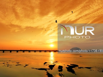 A photo taken on November 3, 2024, shows the sunset glow and returning birds at the Baisha River Estuary wetland in Liuting Street, Chengyan...