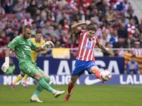 Julian Alvarez of Atletico de Madrid and Jasper Cillessen of Las Palmas are in action during the La Liga 2024/25 match between Atletico de M...