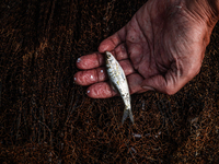 Jalangi River Is Almost Devoid Of Fish Due To Pollution. Casting A Net For Fish In A River Often Results In Garbage Arriving Instead Of Fish...