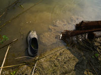 Jalangi River Is Almost Devoid Of Fish Due To Pollution. Casting A Net For Fish In A River Often Results In Garbage Arriving Instead Of Fish...