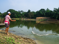 Jalangi River Is Almost Devoid Of Fish Due To Pollution. Casting A Net For Fish In A River Often Results In Garbage Arriving Instead Of Fish...