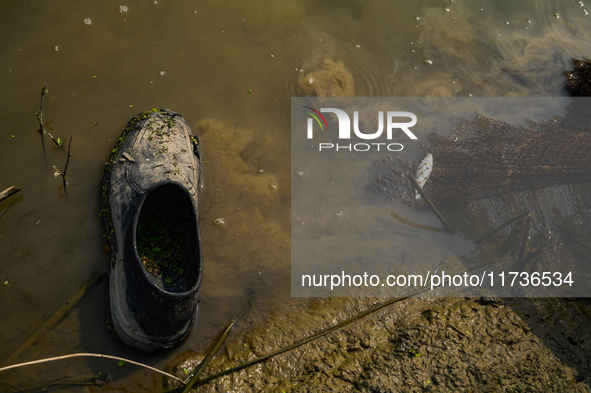 Jalangi River Is Almost Devoid Of Fish Due To Pollution. Casting A Net For Fish In A River Often Results In Garbage Arriving Instead Of Fish...