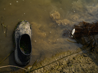 Jalangi River Is Almost Devoid Of Fish Due To Pollution. Casting A Net For Fish In A River Often Results In Garbage Arriving Instead Of Fish...