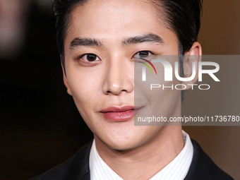 Rowoon arrives at the 13th Annual LACMA Art + Film Gala 2024 presented by Gucci held at the Los Angeles County Museum of Art on November 2,...