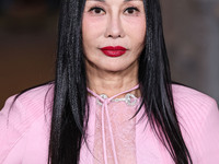 Eva Chow arrives at the 13th Annual LACMA Art + Film Gala 2024 presented by Gucci held at the Los Angeles County Museum of Art on November 2...