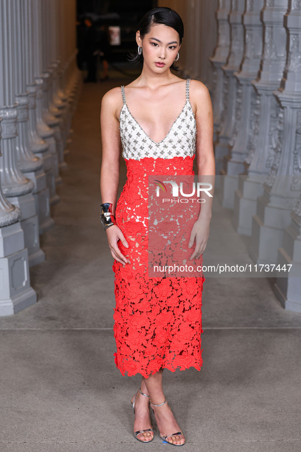 Ellis Ahn arrives at the 13th Annual LACMA Art + Film Gala 2024 presented by Gucci held at the Los Angeles County Museum of Art on November...