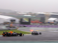 Max Verstappen of the Netherlands drives the Oracle Red Bull Racing RB20 Honda RBPT during the Formula 1 Lenovo Grande Premio De Sao Paulo 2...