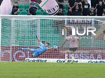 Sebastiano Desplanches of Palermo FC is in action during the Serie B match between Palermo and Cittadella at the Stadio ''Renzo Barbera'' in...