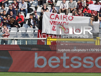 The public attends the Serie A 2024-2025 match between Torino and Fiorentina in Torino, Italy, on November 3, 2024. (