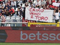 The public attends the Serie A 2024-2025 match between Torino and Fiorentina in Torino, Italy, on November 3, 2024. (