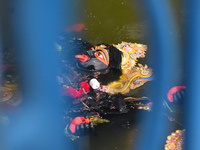 An idol of the Hindu goddess Kali floats after being immersed in a pond in Kolkata, India, on November 3, 2024. (