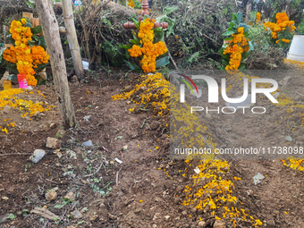 Graves are decorated with marigold flowers at Cemetery del Carmen, in the community of San Miguel Tzinacapan, during the Mexican Day of the...