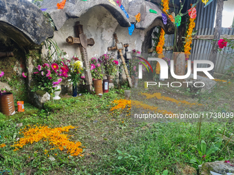 Graves are decorated with marigold flowers at Cemetery del Carmen, in the community of San Miguel Tzinacapan, during the Mexican Day of the...