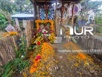 Graves are decorated with marigold flowers at Cemetery del Carmen, in the community of San Miguel Tzinacapan, during the Mexican Day of the...