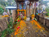 Graves are decorated with marigold flowers at Cemetery del Carmen, in the community of San Miguel Tzinacapan, during the Mexican Day of the...