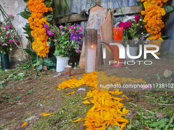 A grave is decorated with marigold flowers at Cemetery del Carmen, in the community of San Miguel Tzinacapan, during the Mexican Day of the...