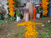 A grave is decorated with marigold flowers at Cemetery del Carmen, in the community of San Miguel Tzinacapan, during the Mexican Day of the...