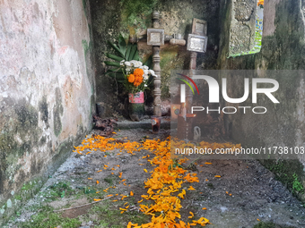 A grave is decorated with marigold flowers at Cemetery del Carmen, in the community of San Miguel Tzinacapan, during the Mexican Day of the...