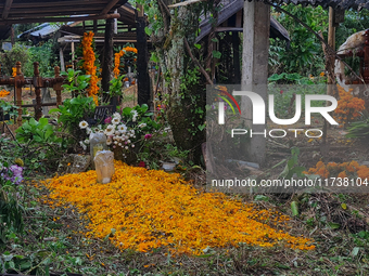 A grave is decorated with marigold flowers at Cemetery del Carmen, in the community of San Miguel Tzinacapan, during the Mexican Day of the...