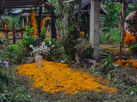 A grave is decorated with marigold flowers at Cemetery del Carmen, in the community of San Miguel Tzinacapan, during the Mexican Day of the...